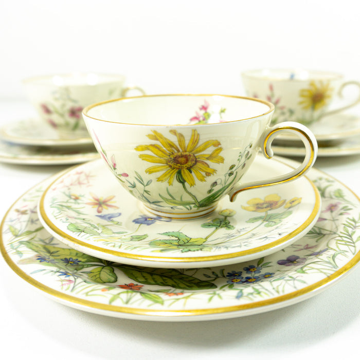 1950s Westgerman Krautheim Berolina "Wiesengrund und Bergeshöh'n" Tea Pot
