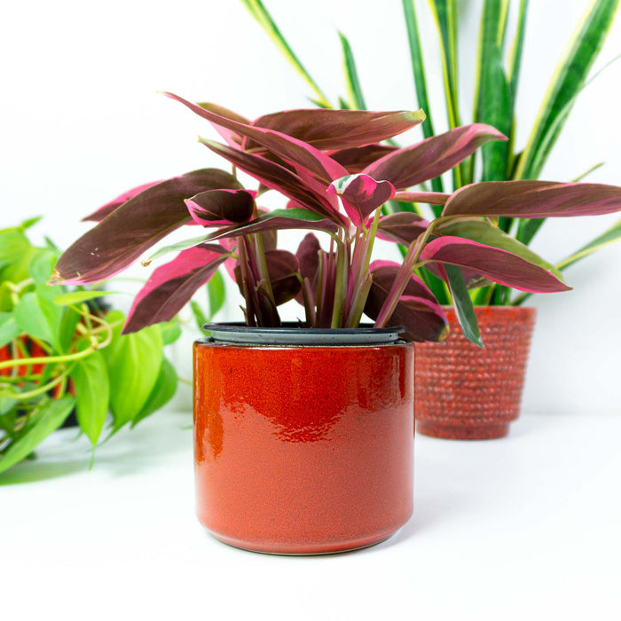1960s Carstens Tönnishof WGP CERAMIC PLANTER, high glossy fire red