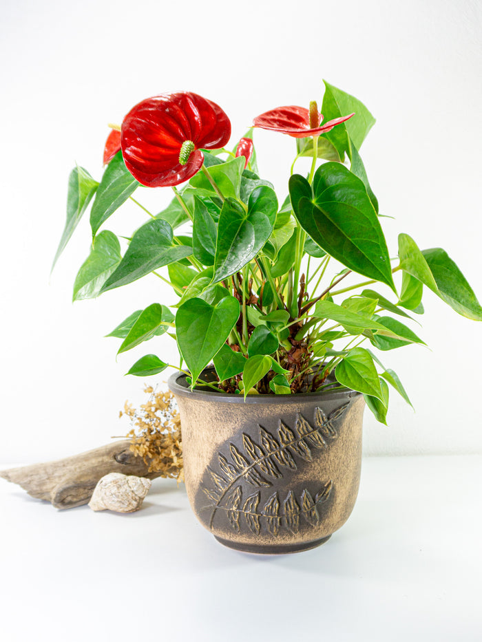 1960s midcentury beige brown CERAMIC PLANTER POT 021/16 Westgerman Pottery