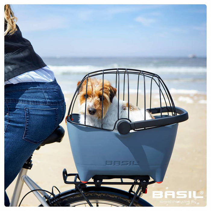 Basil Space Frame Dog Buddy