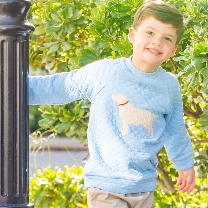 Boys Quilted Dog Pullover - Blue Lagoon