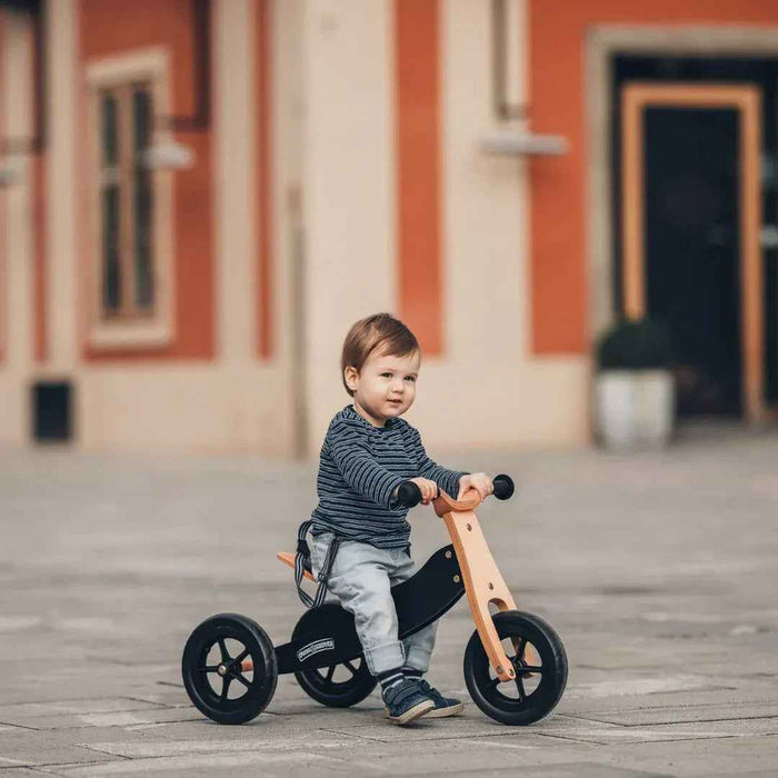 Free2Move® Lesen trikolesnik in poganjalec Rider PLUS 2v1 Black Free2Move