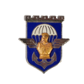 French 17th Parachute Engineer Regiment Badge - French Army Surplus - Flags, Badges & Insignia