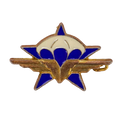 French 1st Parachute Chasseur Regiment Badge - French Army Surplus - Flags, Badges & Insignia