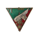 French 2nd Foreign Parachute Regiment Training Section Badge - French Army Surplus - Flags, Badges & Insignia