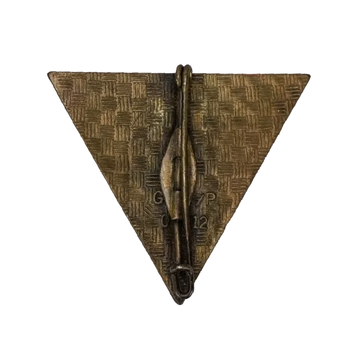 French 2nd Foreign Parachute Regiment Training Section Badge - French Army Surplus - Flags, Badges & Insignia