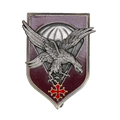 French Army 11th Parachute Division Badge - French Army Surplus - Flags, Badges & Insignia