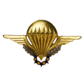French Army Commando Parachute Group Badge - French Army Surplus - Flags, Badges & Insignia