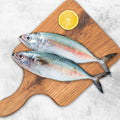 Fresh Big Mackerel Fish