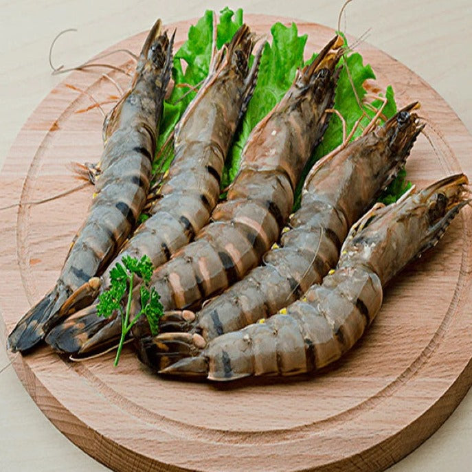 Fresh Tiger prawns