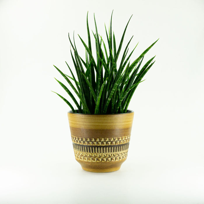 LARGE 1960s embossed CLINKER PLANTER Sgraffito