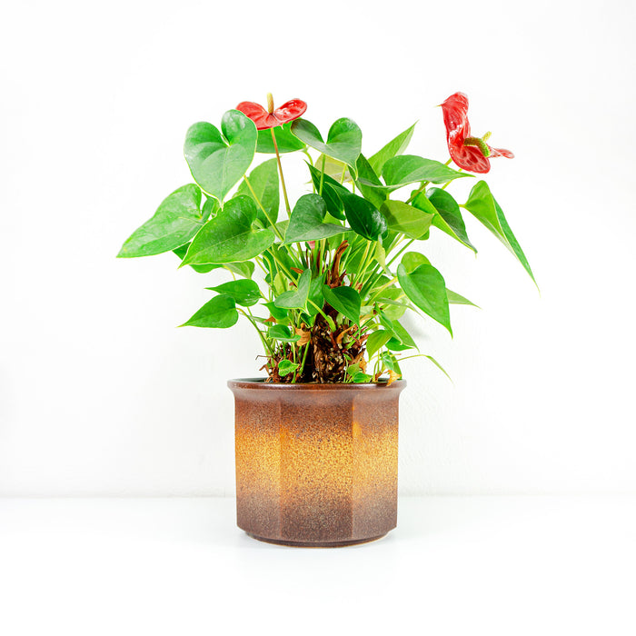 Large 70s midcentury WGP Ceramic Planter by SCHEURICH 932-18 Westgerman pottery