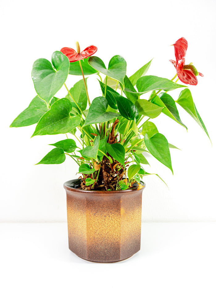 Large 70s midcentury WGP Ceramic Planter by SCHEURICH 932-18 Westgerman pottery