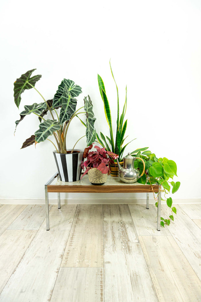 MIDCENTURY 1960s chromed faux-wood SIDE Coffee TABLE or Plant Stand