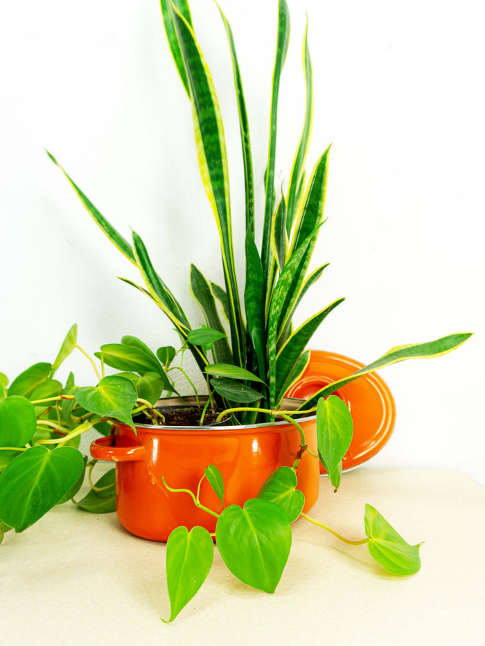 Orange French 1970s ENAMEL POT with lid by 'Le Creuset'