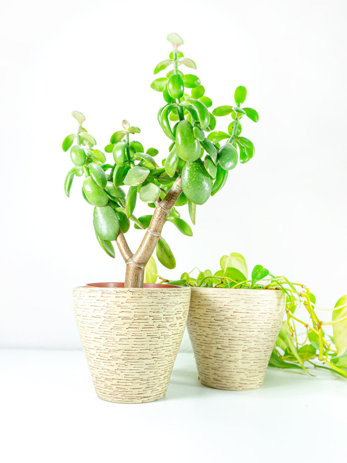 Pair of 1960s WESTGERMAN midcentury POTTERY PLANTER beige clinker