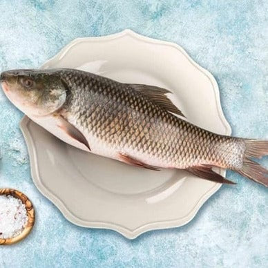 Fresh Water Rahu/catla fish