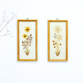 Set of 2 of handmade 1960s DRIED FLOWERS wall art pictures