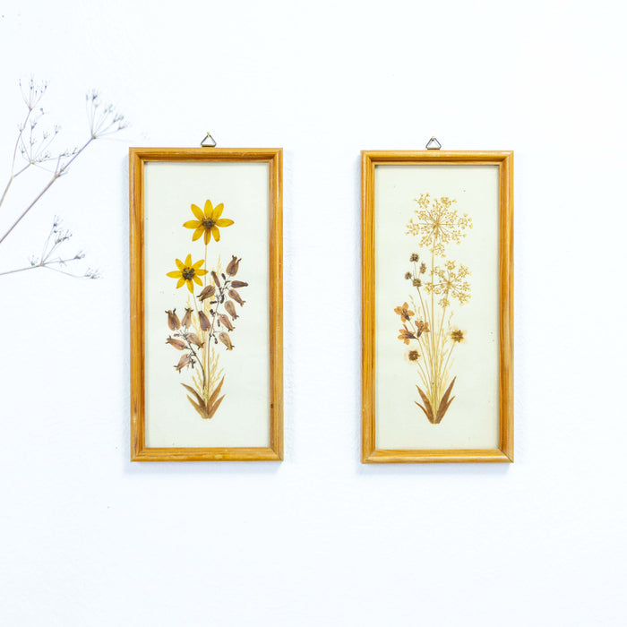 Set of 2 of handmade 1960s DRIED FLOWERS wall art pictures