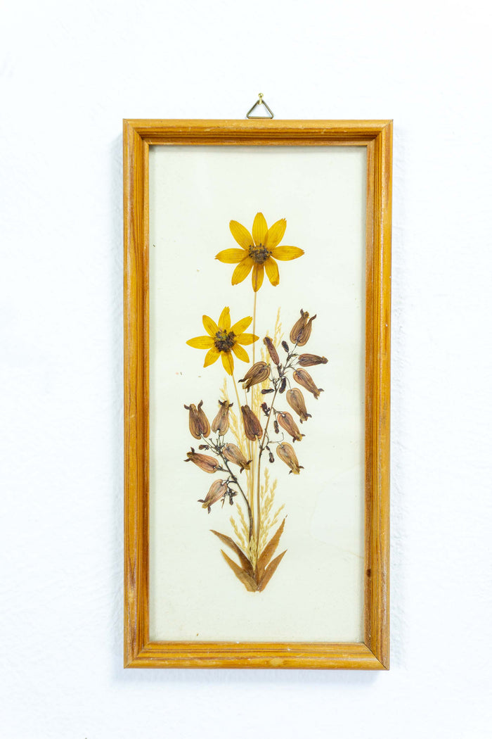 Set of 2 of handmade 1960s DRIED FLOWERS wall art pictures