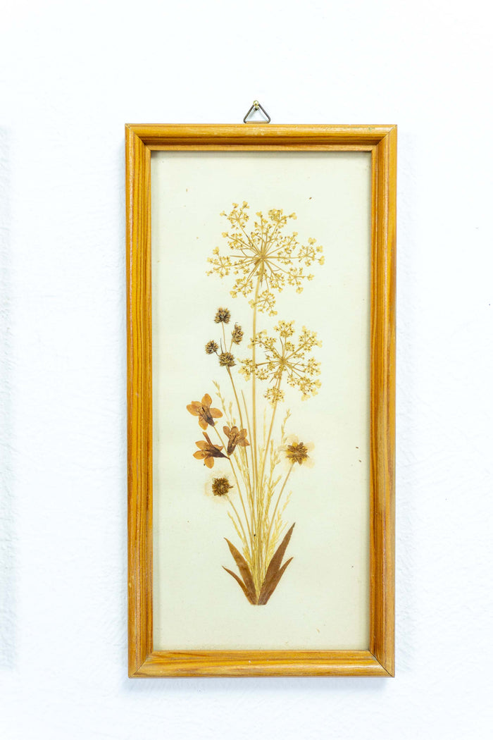 Set of 2 of handmade 1960s DRIED FLOWERS wall art pictures