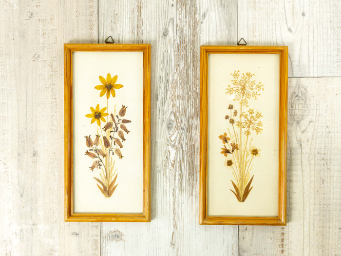 Set of 2 of handmade 1960s DRIED FLOWERS wall art pictures