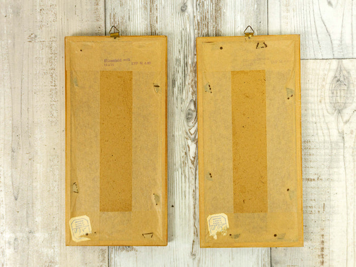 Set of 2 of handmade 1960s DRIED FLOWERS wall art pictures