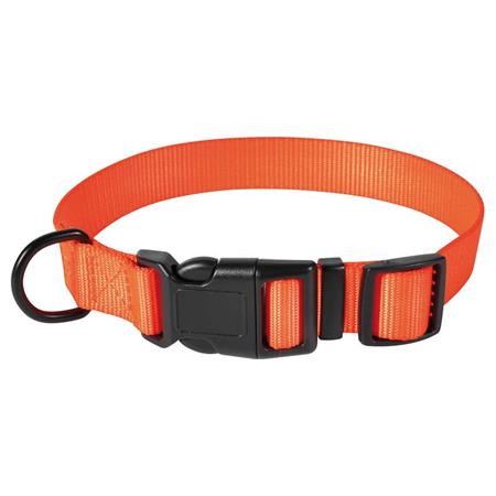 Stepland Dog Collars