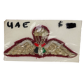 United Arab Emirates Paratrooper Patch - Army & Outdoors - Flags, Badges & Insignia