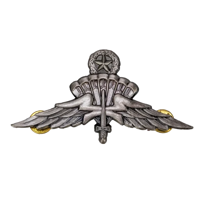US Army Freefall Jump Wings Badge, Item 1 - US Army Surplus - Flags, Badges & Insignia