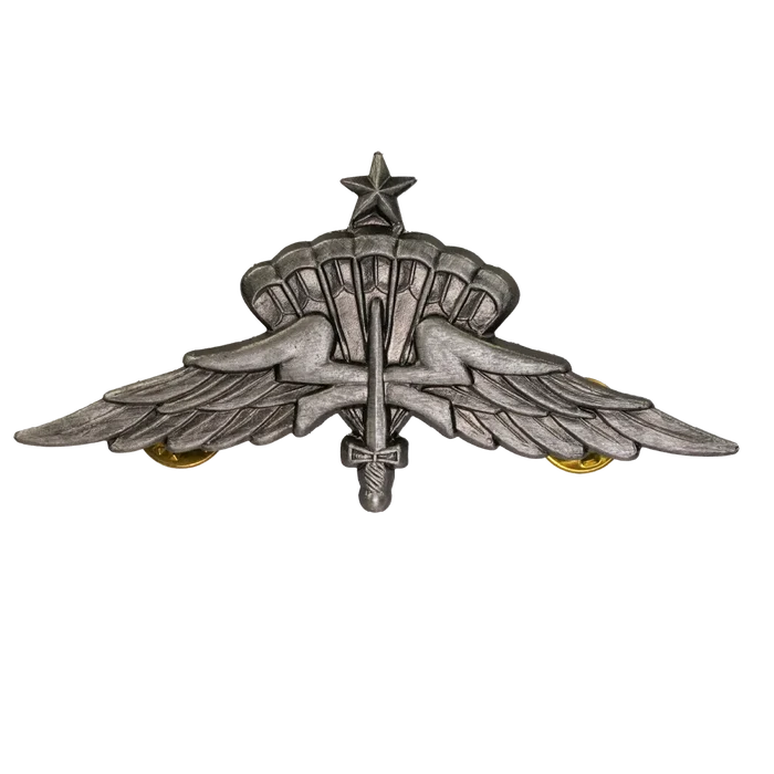 US Army Freefall Jump Wings Badge, Item 2 - US Army Surplus - Flags, Badges & Insignia