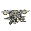 US Navy Seals Badge - US Navy Surplus - Flags, Badges & Insignia