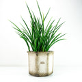 XL 1970s Beige Brown Midcentury Ceramic Planter by SCHEURICH 932-18