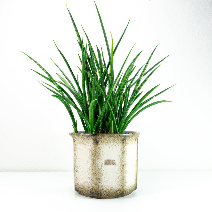 XL 1970s Beige Brown Midcentury Ceramic Planter by SCHEURICH 932-18