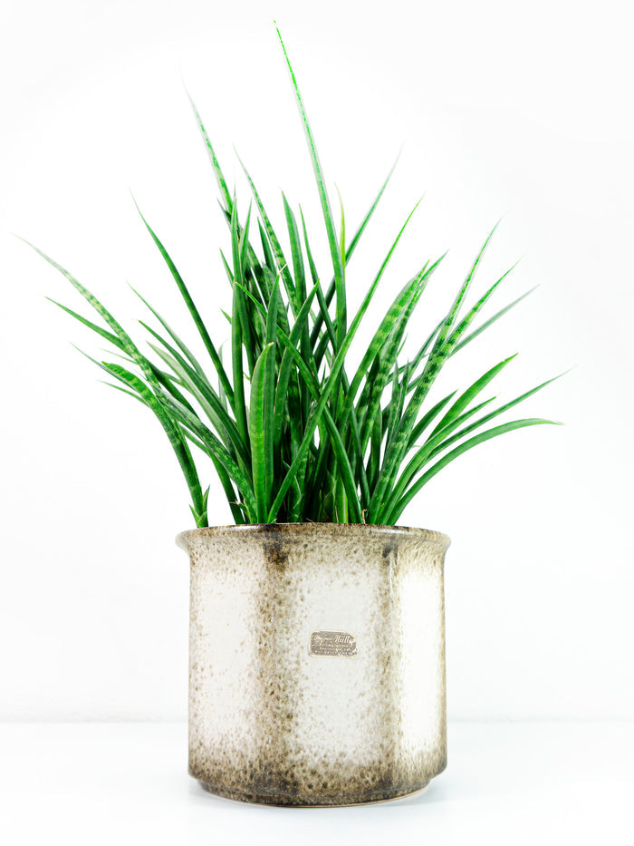 XL 1970s Beige Brown Midcentury Ceramic Planter by SCHEURICH 932-18