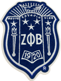 Zeta Chenille Crest Patch 11 Inches